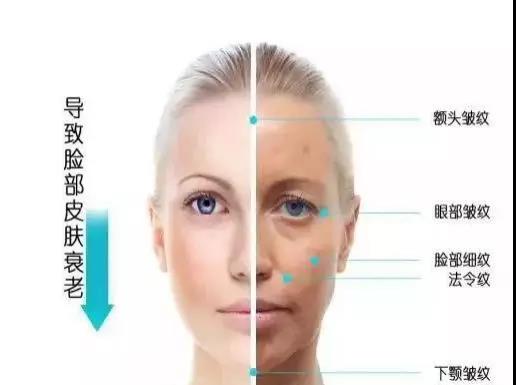 和面部肌肤一样,氧化是造成衰老的罪魁祸首,比如紫外线,环境污染物,微