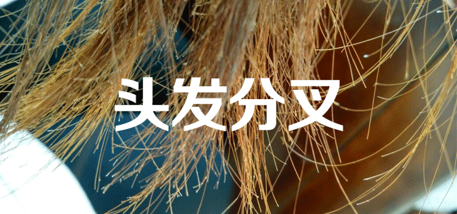 秋季养发
