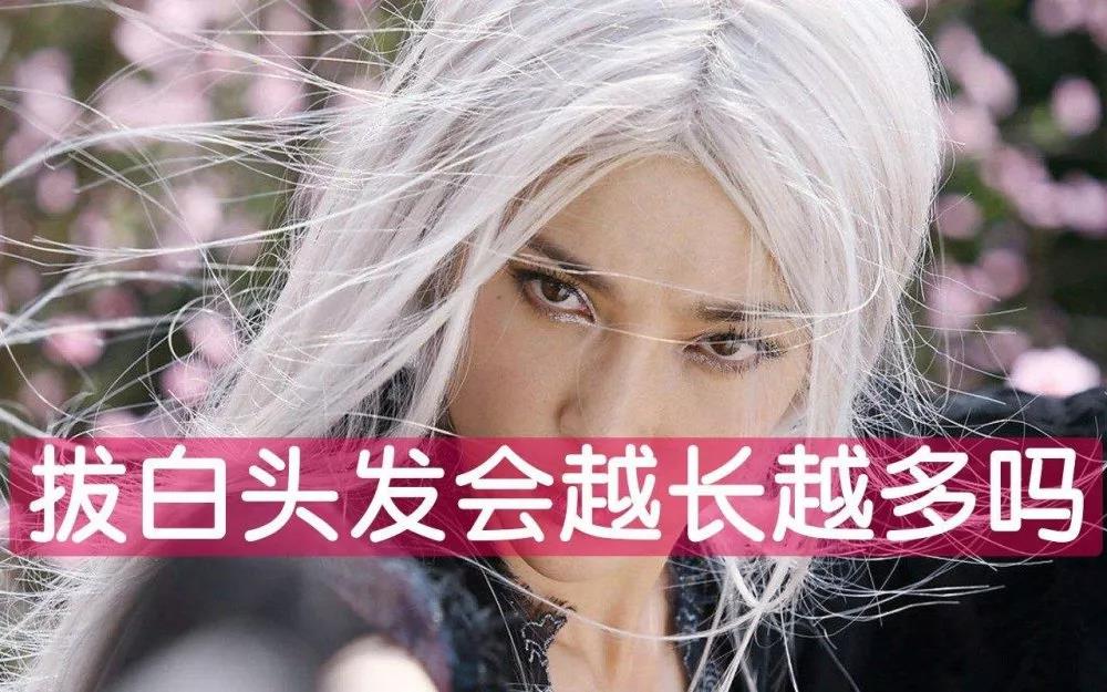 白发转黑发