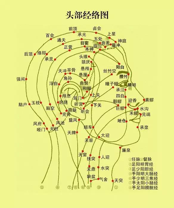 2.头疗是疏通头部经络,改善头部血液循环最好的方法.