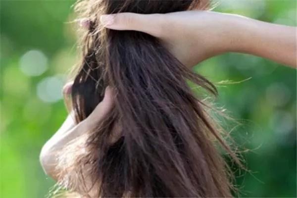 春季脱发真这么严重?